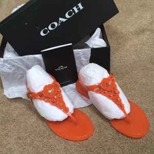 NIB Coach Jelly Tea Rose Sandals Size 5